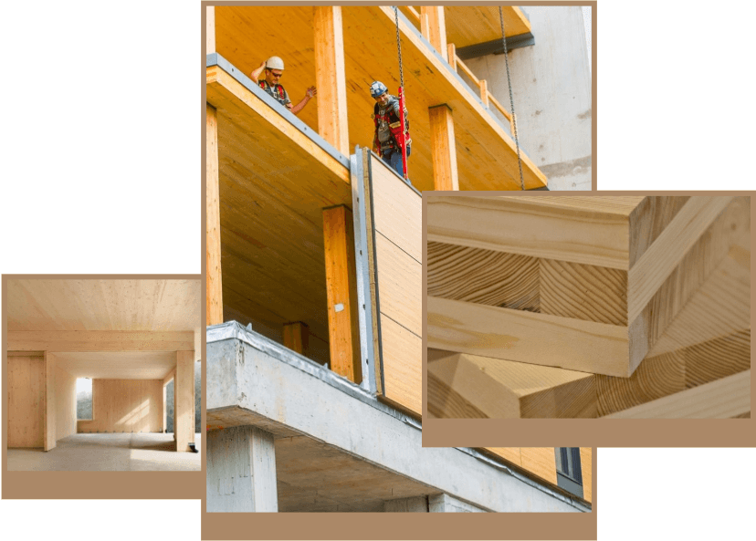 Feistis Home Nantong Yueluo Co., Ltd